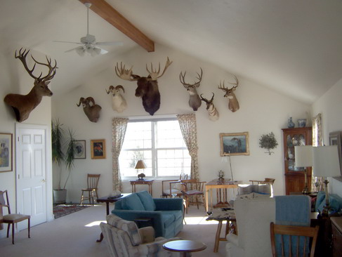 Great Room/Trophy Room